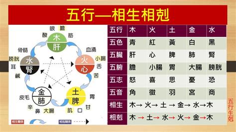 五行生剋制化|五行生剋制化，何謂化，化有哪些？